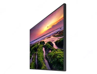 Samsung 65QB65B LH65QBBEBGCXCI — professional дисплей. Chakana savdo