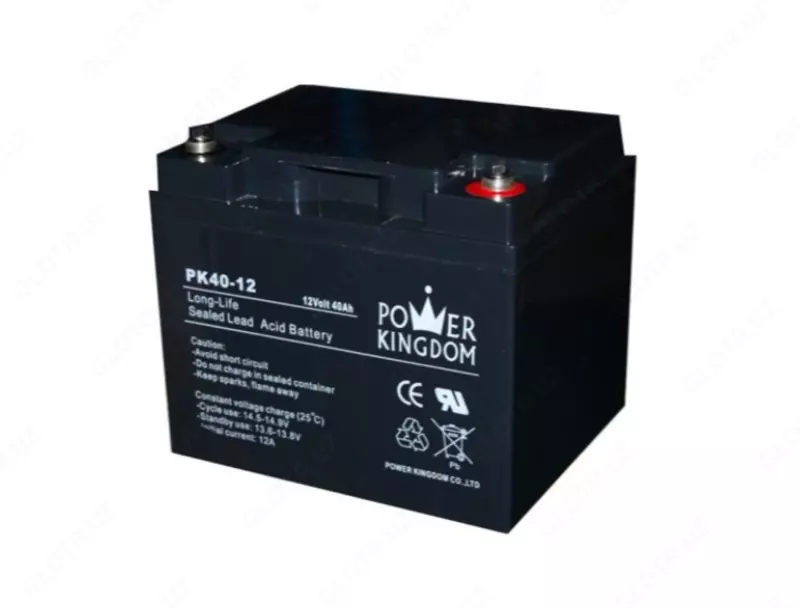   Аккумулятор Power Kingdom для ИБП 12V/9Ah