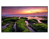   Professional displey QM50B LH50QMBEBGCXCI