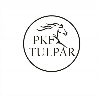 OOO PKF TULPAR