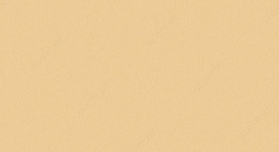 Виниловые обои Арт 1030 OOO “New best style ”