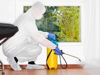 Дезинфекции квартир