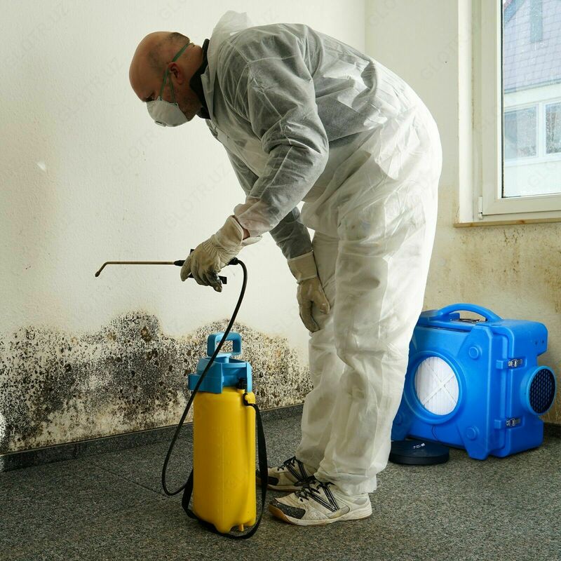 Дезинфекции квартир