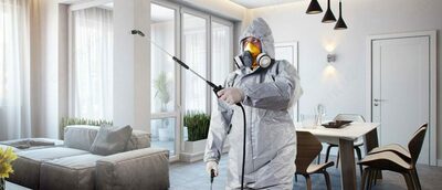 Дезинсекции 2 комнатной квартиры методом «холодный туман» или опрыскивание