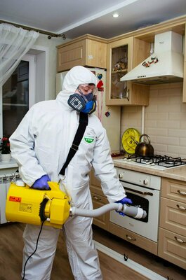 Дезинсекции 1 комнатной квартиры методом «холодный туман» + барьерная защита