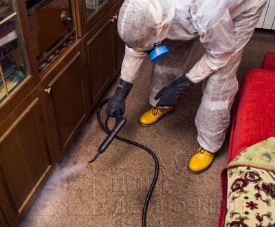 Дезинсекции 2 комнатной квартиры с гарантией на 8 месяцев