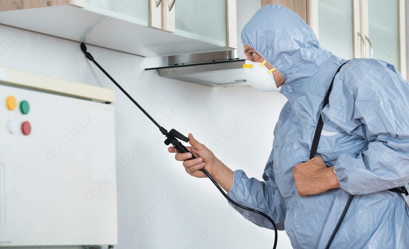 8 oylik kafolat bilan 2 xonali kvartirani dezinfeksiya qilish - 350 000 so'm