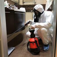 Дератизация помещений 70 - 100 кв.м - 150 000 сум