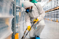 Дератизация помещений 200 - 500 кв.м