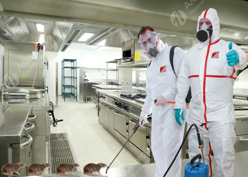 Дератизация помещений 500 - 1000 кв.м