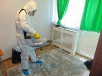 Дезинсекции 1 комнатной квартиры от клопов