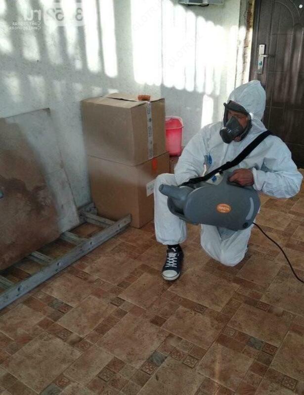 Дезинсекции 3 комнатной квартиры от клопов