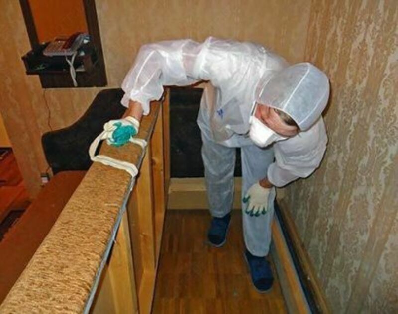 Дезинсекции 4 комнатной квартиры от клопов