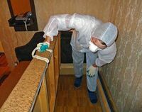 Дезинсекции 4 комнатной квартиры от клопов