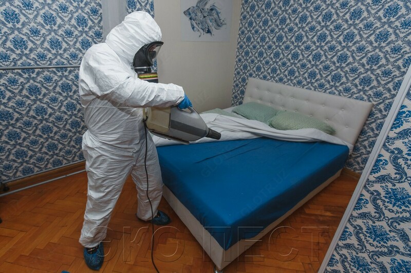Дезинсекции 1 комнатной квартиры от клопов