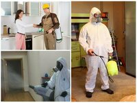 Дезинсекции 3 комнатной квартиры от клопов - 1 000 000 сум