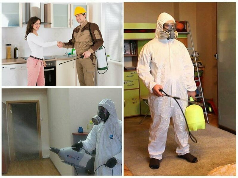 Дезинсекции 4 комнатной квартиры от клопов