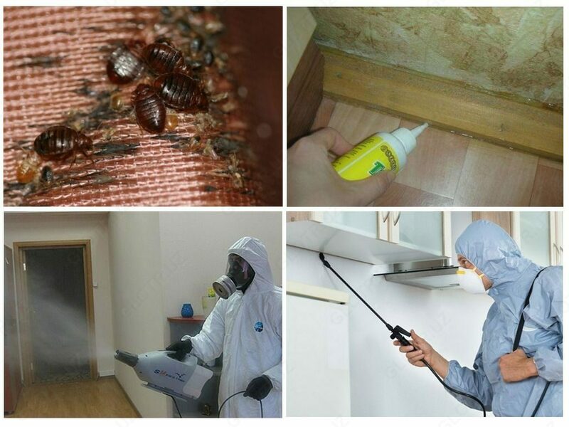 Дезинсекции 4 комнатной квартиры от клопов - 1 500 000 сум