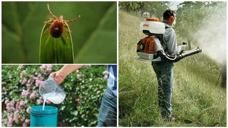 Обработка участков и садов более 6 соток