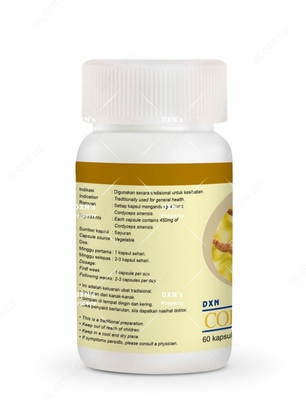  DXN Cordyceps - 