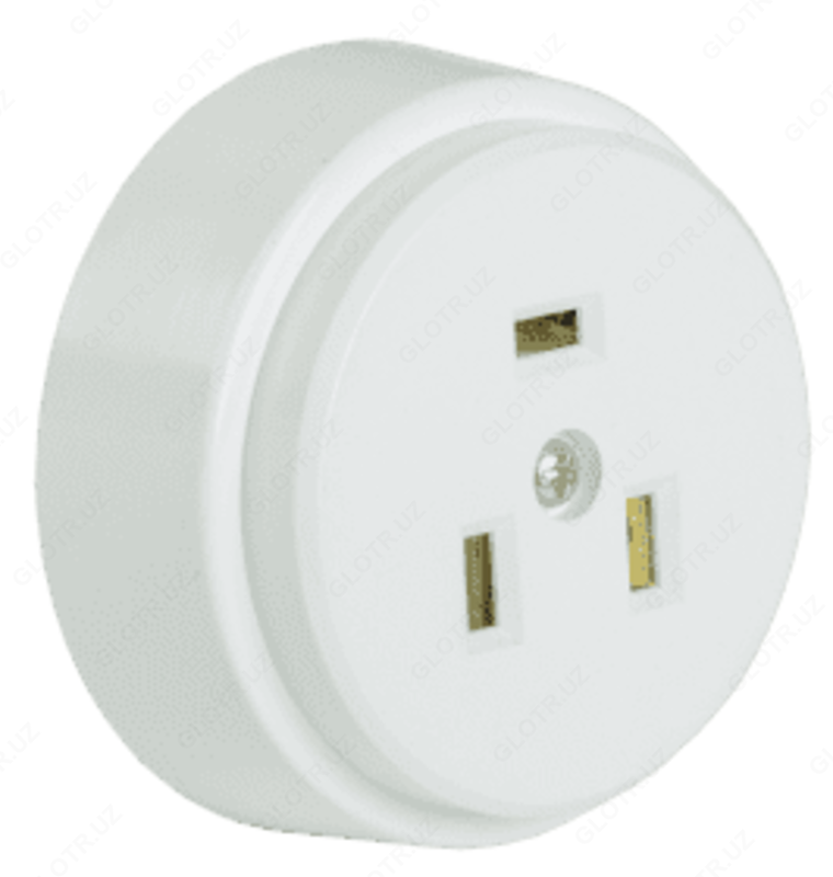 RPpl10-01-St zaxira o / u 32A oq IEK bilan plastinka uchun ajratiladigan rozetka