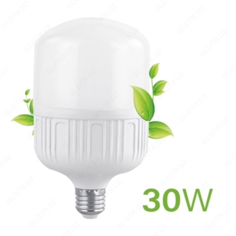 LED Barrel T100 30W 6000K 220V E27 ELT