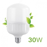 LED Barrel T100 30W 6000K 220V E27 ELT