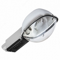 Светильник уличный консольный РКУ SRL013 (состоит из корпуса + плафон) ELT