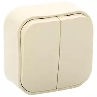 Выключатель 10A 2клав СЛНК