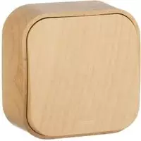 Переключатель 10A 1клав ДЕРВ