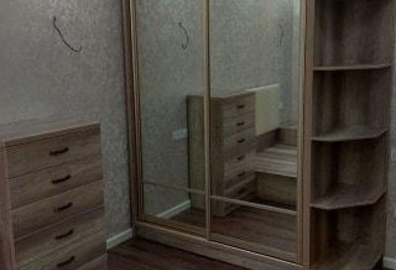 Шкаф-купе Арт 005