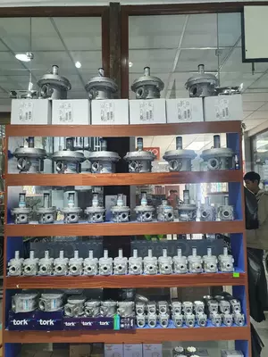  Газовый редуктор ТОРК Ф50 1м.бар - 