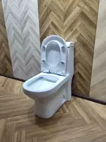 1 794 484.5 сум Унитаз литой Myguess 1038R