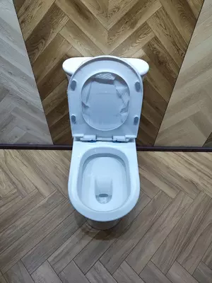  Унитаз литой MYGUESS 2239 Только в розницу