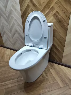  Унитаз литой MYGUESS торнадо 2080 Только в розницу