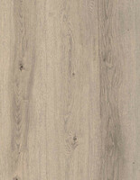 Ламинированный пол Дуб Жемчужный модели FP952