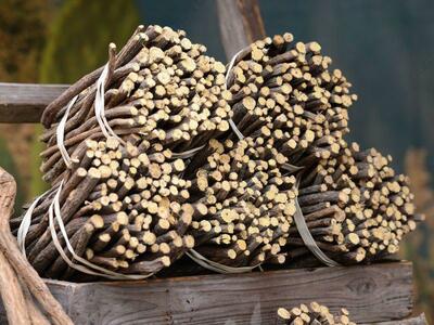 Сельскохозяйственная продукция