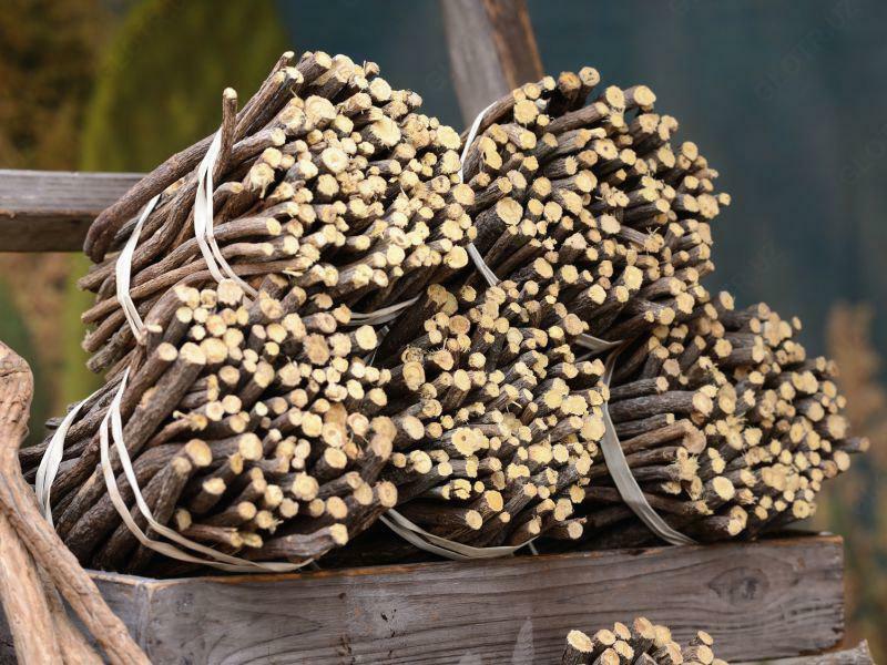 Сельскохозяйственная продукция