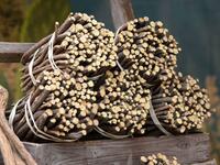 Сельскохозяйственная продукция