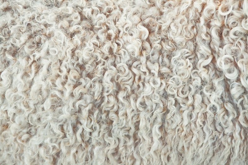 Сельскохозяйственная продукция