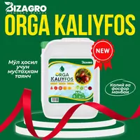 ORGA KALIYFOS