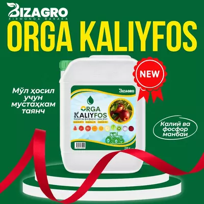 ORGA KALIYFOS