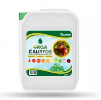 ORGA KALIYFOS - от 50 000 сум