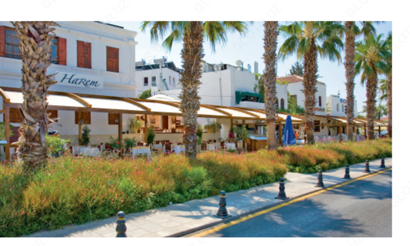 Пергола suntech 024