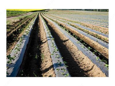 Геотекстиль плотность 150 гр.