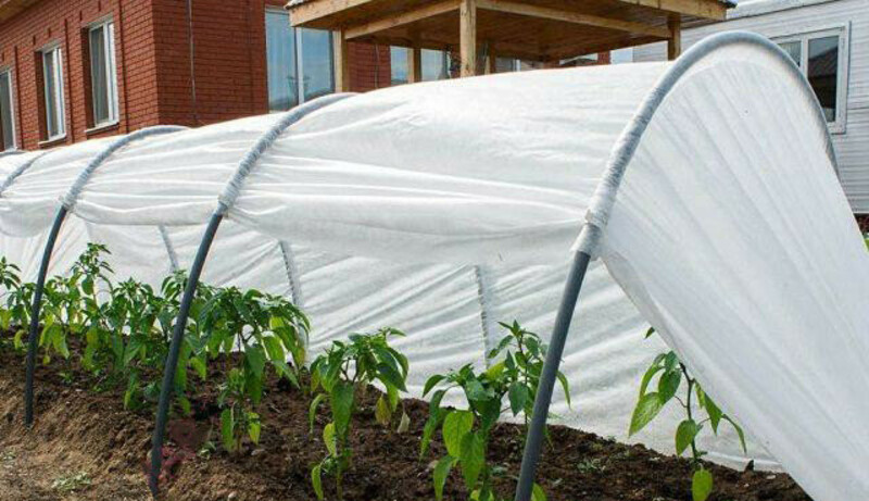 Как выбрать укрывной материал для растений