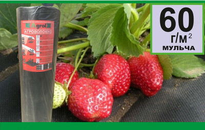 Плотность от 17 - 60 гр/м