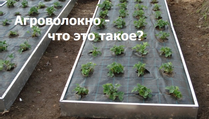 Плотность от 17 - 60 гр/м - 650 сум