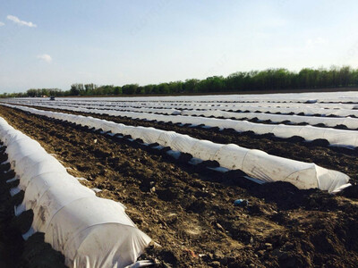 Укрывной материал (Защита растений от заморозков) Ulgurji va chakana