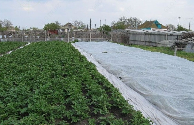 УКРЫВНОЙ МАТЕРИАЛ ОТ СОЛНЕЧНЫХ ЛУЧЕЙ И ЗАМОРОЗКОВ ДЛЯ РАСТЕНИЙ